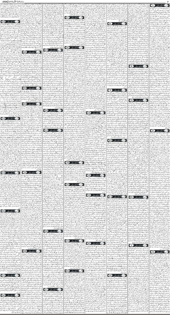 E-Paper 7/11/2026 (7)
