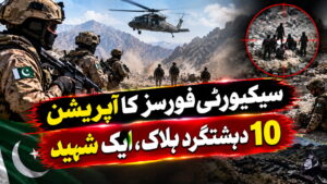 سیکیورٹی فورسز کا آپریشن، 10 دہشتگرد ہلاک، ایک شہید