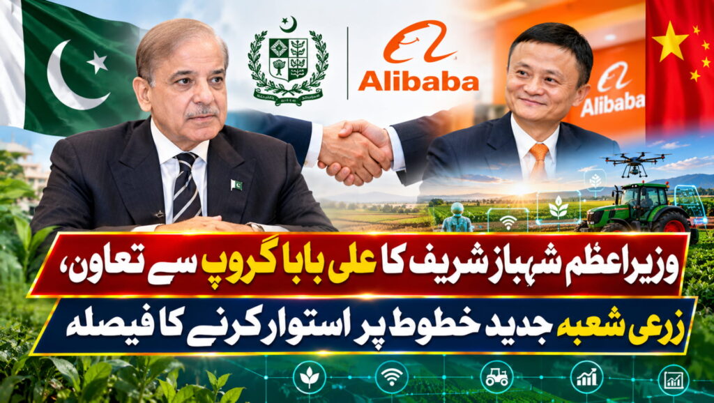 وزیراعظم شہباز شریف کا علی بابا گروپ سے تعاون، زرعی شعبہ جدید خطوط پر استوار کرنے کا فیصلہ